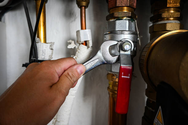 Best Clogged Drain Plumber  in Lexington, WA